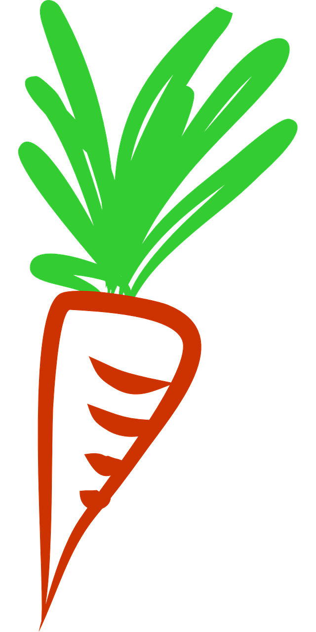 carrots-432492_1280