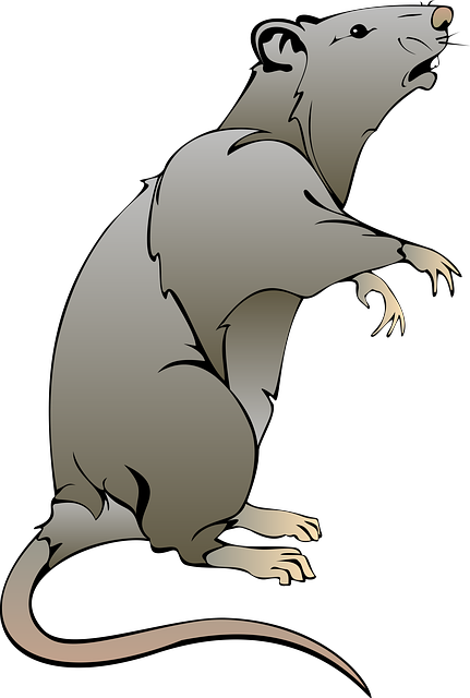mouse-48361_640